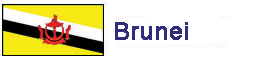 Brunei Flag